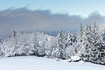 Les Vosges en hiver