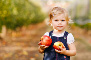 Portrait of little toddler girl with red apples in organic orchard. Adorable happy healthy baby...