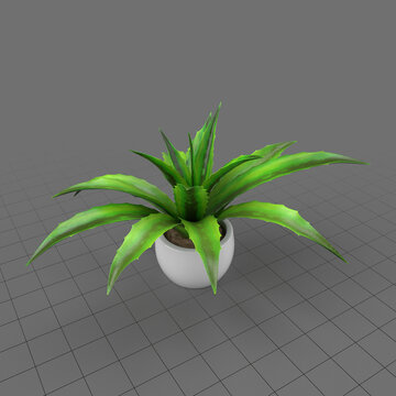 Decorative potted plant 4