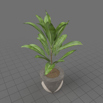 Artificial potted plant 2