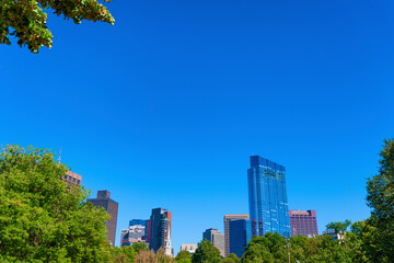 Obraz premium Boston Common's Skyline View