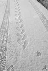 rhythmic footprints, boot tracks and car tires on thin white snow in winter go into the distance,...