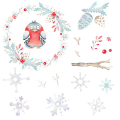 Watercolor set with bullfinch. Cones, berries, branches. Winter set with snowflakes and a wreath.