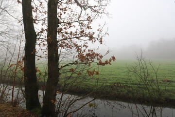 Beautiful autumn landscape on a misty morning with forest edge, stream and pasture.