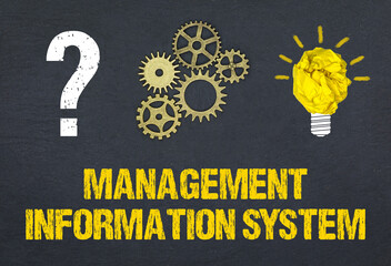 Management Information System 
