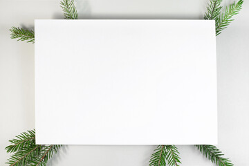 Christmas composition. Blank card, Christmas tree branches on white background, flat lay. Winter background top view, copy space