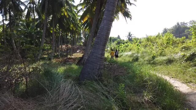 A man and a woman walking along a remote path past large coconut trees and indian forest. Andaman island