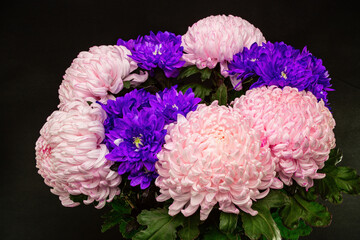 Bouquet of lush chrysanthemums close up