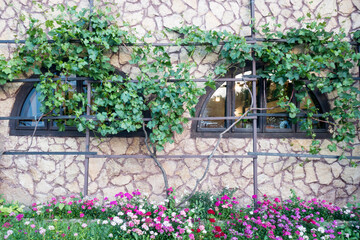 Countryside meadow grass and wild field flowers
