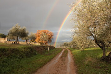 arcobaleno sulla campagna toscana in una giornata di pioggia