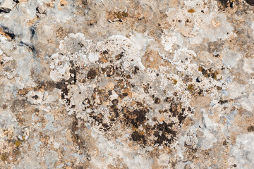 Flat stone background with different gray and white tones in the middle of nature illuminated with sunlight