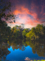 HDR Vertical pond in Florida at sunset  2