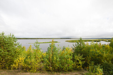 The banks of the Northern Dvina overgrown with forest. Russia, Arkhangelsk region