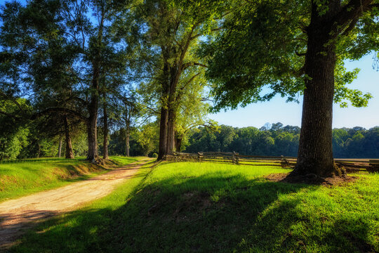 Dirt road along the Natchez Trace Parkway in Mississippi.