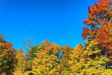 Fototapeta premium Autumn Scenic Drive along The Blue Ridge Parkway in North Carolina