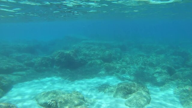 Underwater view of Alghero turquoise sea with rocks, sand and fish. Sardinia, It