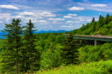 Blue Ridge Parkway Scenic Landscape