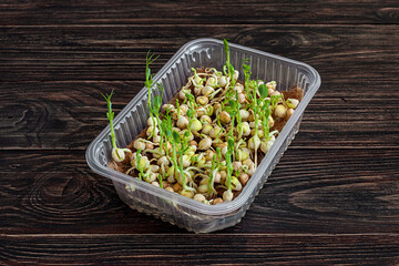 selective focus photo of pea microgreens growing in tray. city farming indoor concept.