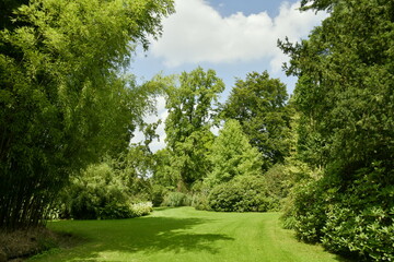 Variété incroyable de plantes et d'arbres à l'arboretum de Kalmthout au nord d'Anvers