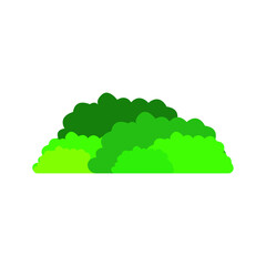 image of a bush on a white background, vector illustration