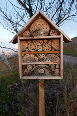 Wooden bee hotel (Insektenhotel) in front of a tree. The facility offers small organisms protection during the winter. Front view. Close up. In the Vineyards. Germany, Baden Wurttemberg.