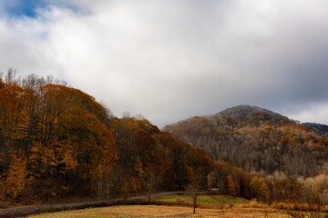 Autumn colors under stormy skies in the Blue Ridge Mountains