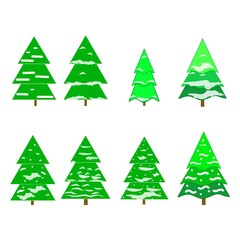 Silhouette design green spruce on white background