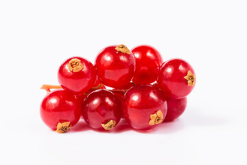 red currant on a white background