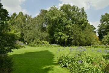 Parterres de végétation luxuriante entre les différents arbres d'une incroyable beauté à l'arboretum de Kalmthout au nord d'Anvers 