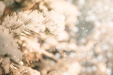 Christmas background with pine branch and snow