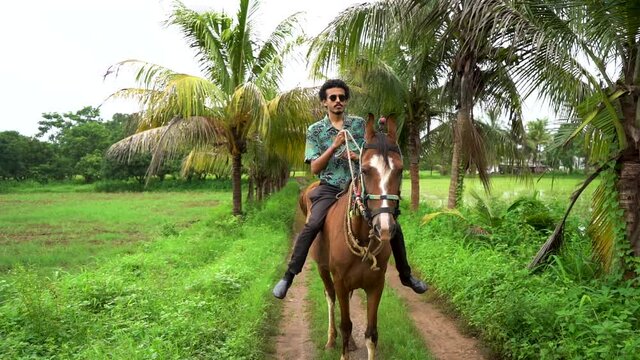 Young handsome man with brown horse. man riding horse