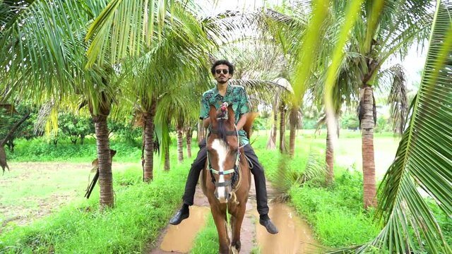 Young handsome man with brown horse. man riding horse
