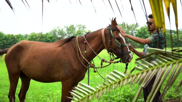 Young handsome man with brown horse.