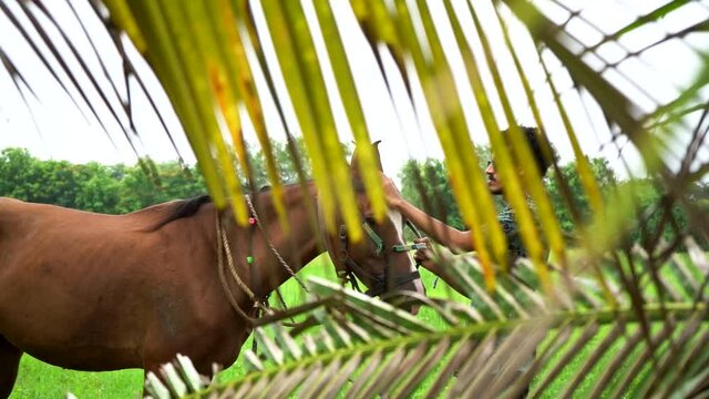 Young handsome man with brown horse.