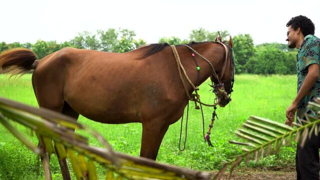 Young handsome man with brown horse.