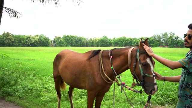 Young handsome man with brown horse.