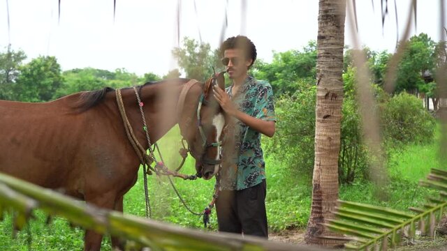 Young handsome man with brown horse.