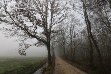 Fototapeta na wymiar Rural dirt road on a foggy cold november day.