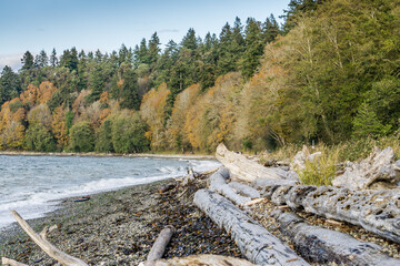 Northwest Park In Fall 6