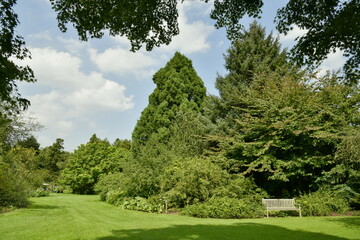 Coin reposant au milieu de la végétation luxuriante et paysagère de l'arboretum de Kalmthout au nord d'Anvers