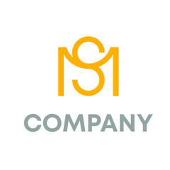 MS logo 