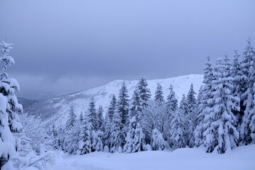 Fototapeta na wymiar Tatry zima zaspy, duże opady śniegu, zasypane szlaki, śnieżyca