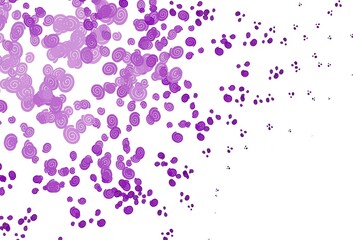 Light Purple vector background with bubble shapes.