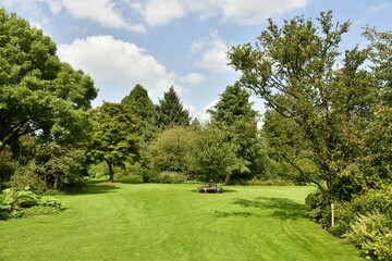 Variété incroyable de plantes et d'arbres à l'arboretum de Kalmthout au nord d'Anvers