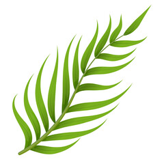 Green fern style leaf