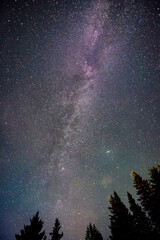 Milky Way and Andromeda Galaxy in the sky full of stars above the forest backgound