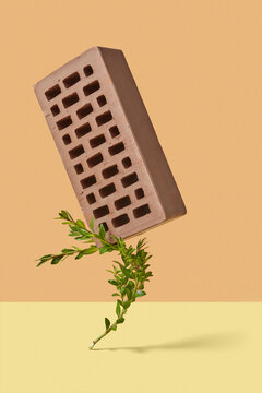 Green twig holds hard clay brick.