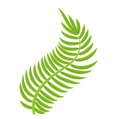 Green fern style leaf