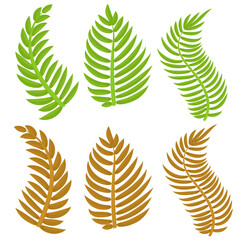 Fern leaves, green and brown