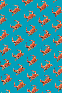 Natural sea food crabs pattern.